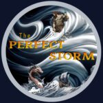 “A Song for My Friends” by The Perfect Storm