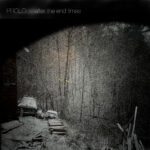 “We the people” by Prolo
